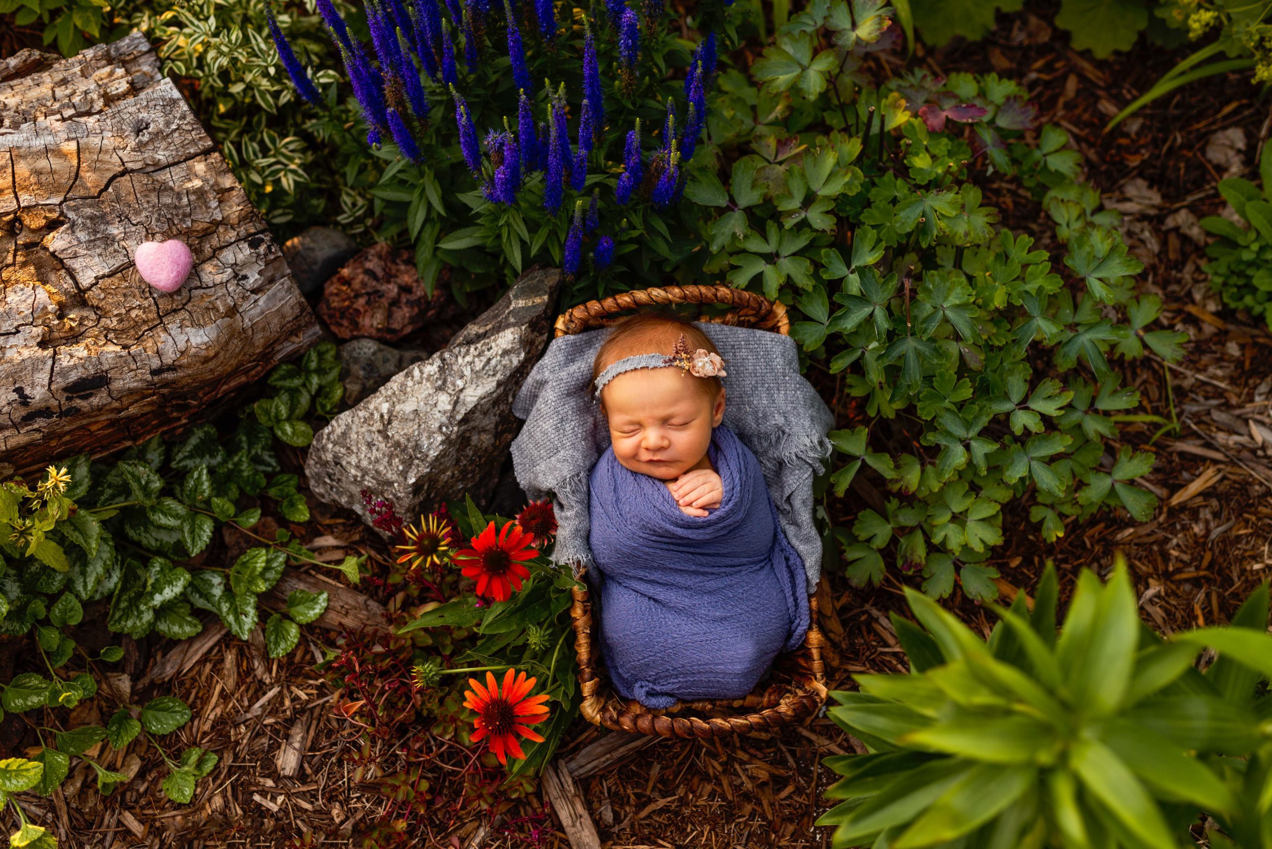 Baby Girl in A Garden